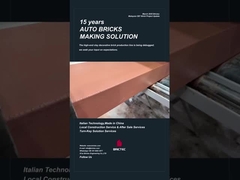 Brictec produksi batu bata dekoratif garis ekstrusi persiyapan